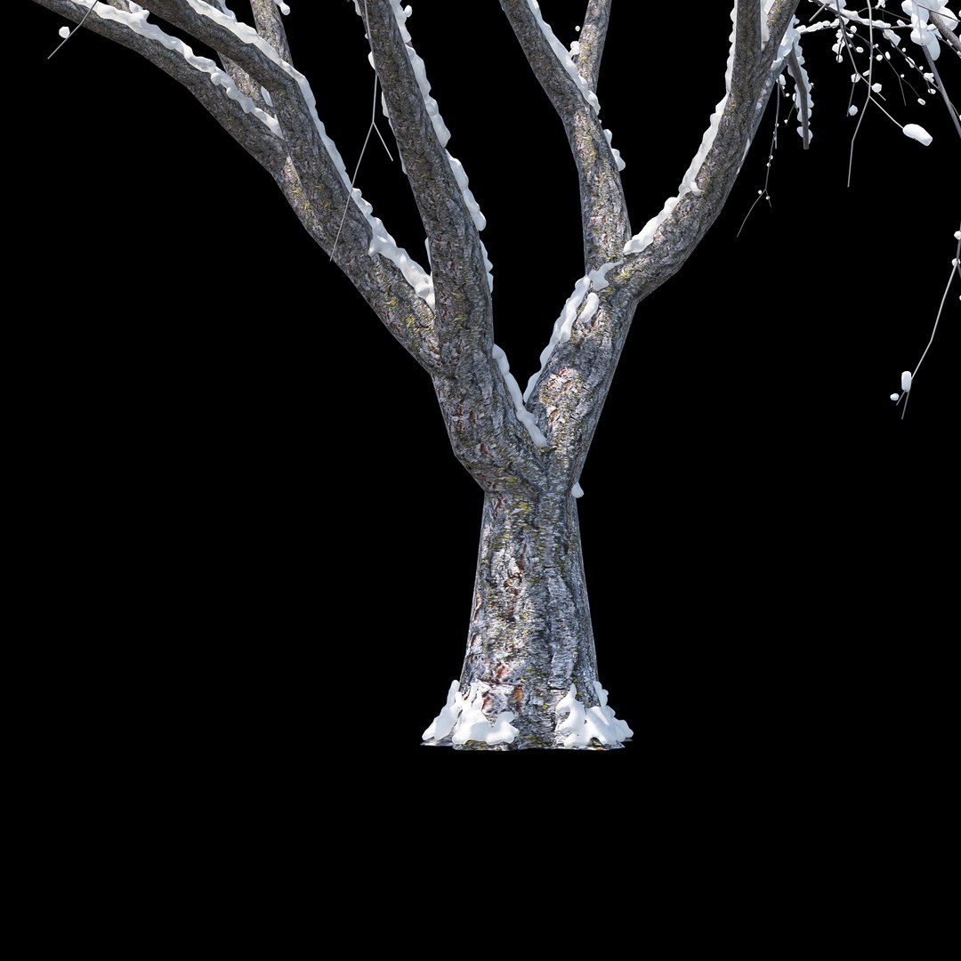 Winter Tree 011 3D Model - TurboSquid 1226889