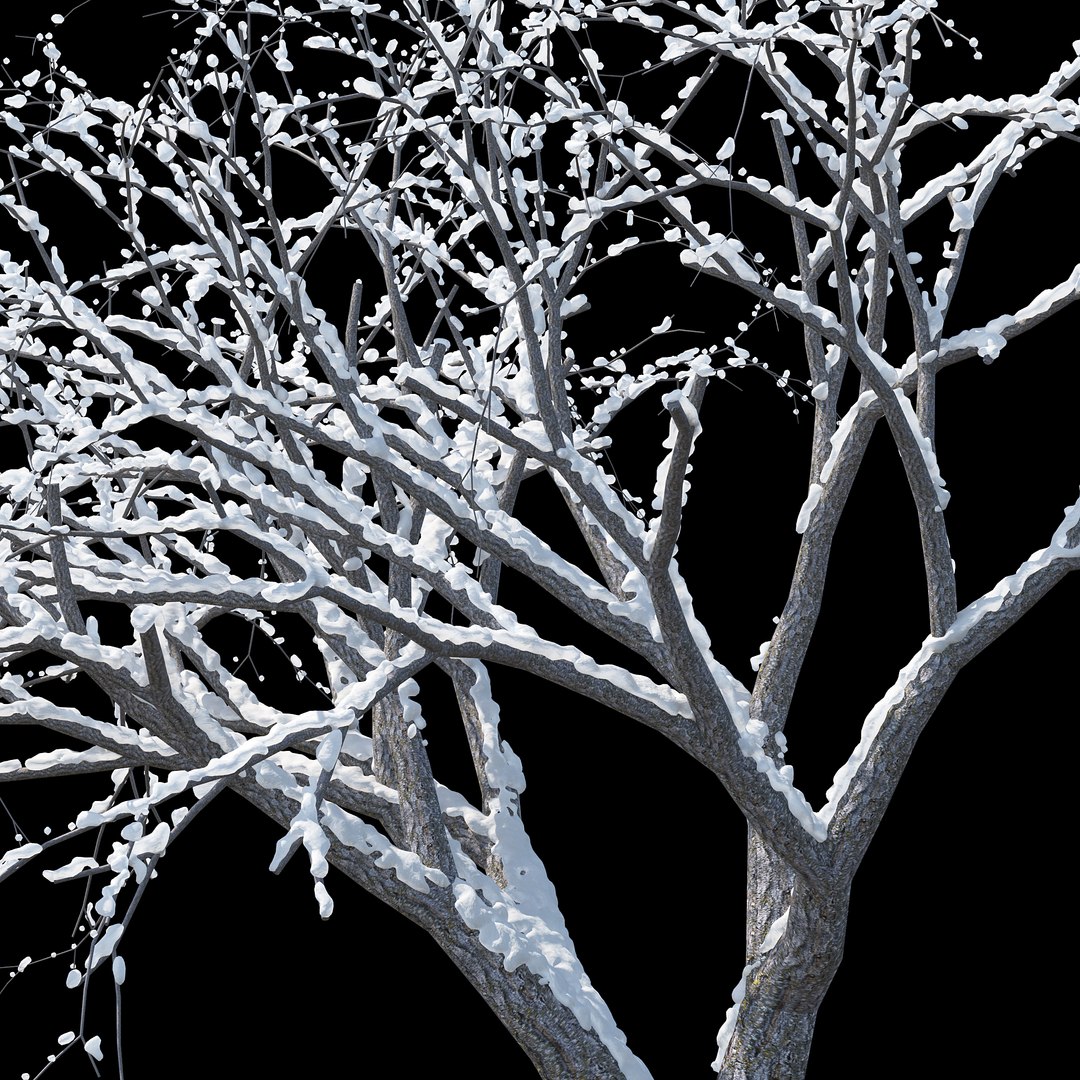 Winter Tree 011 3D Model - TurboSquid 1226889