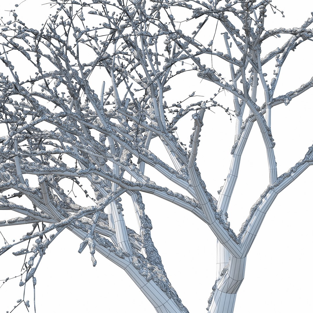 Winter Tree 011 3D Model - TurboSquid 1226889