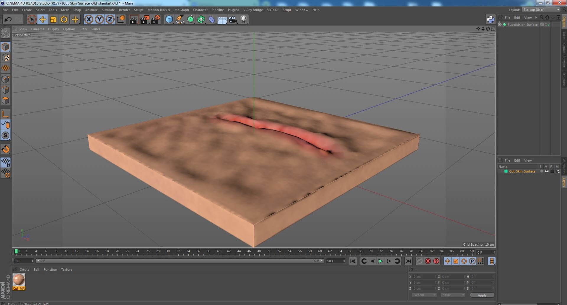 3D Cut Skin Surface https://p.turbosquid.com/ts-thumb/eX/YQS49q/6A/cutskinsurface3dsmodel023/jpg/1701973179/1920x1080/fit_q87/fbf227140d3e9802d515a970764eea761890f850/cutskinsurface3dsmodel023.jpg
