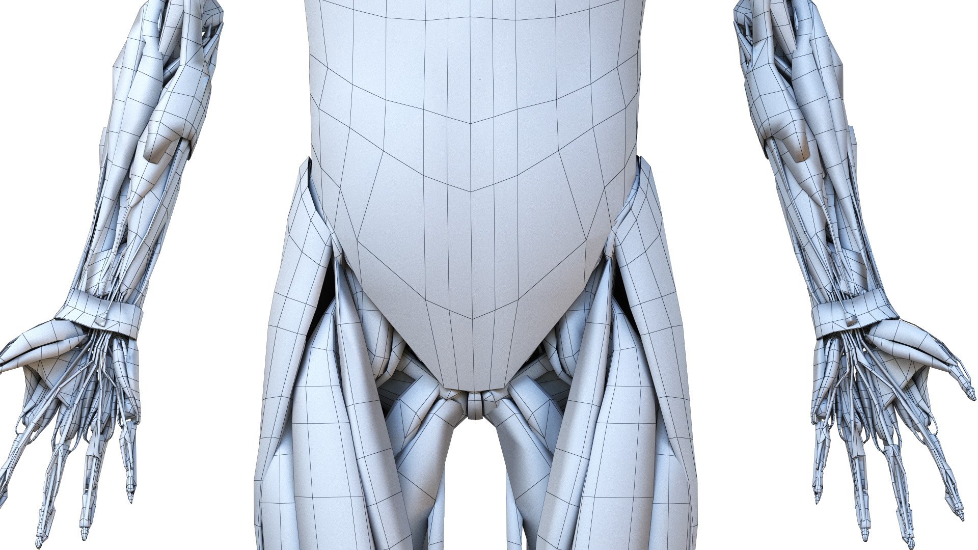 female body skeleton muscles 3D model https://p.turbosquid.com/ts-thumb/eX/YfOdnV/lzY0PKIW/ts_female_lowpoly_wire_muscle0006/jpg/1584387544/1920x1080/fit_q87/bbaf5c8a0686d3e06e9b1b98f23dc0a9431e2a8e/ts_female_lowpoly_wire_muscle0006.jpg