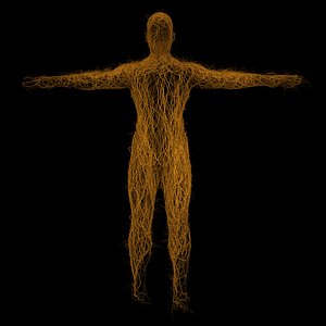 3D model rigged ivy human