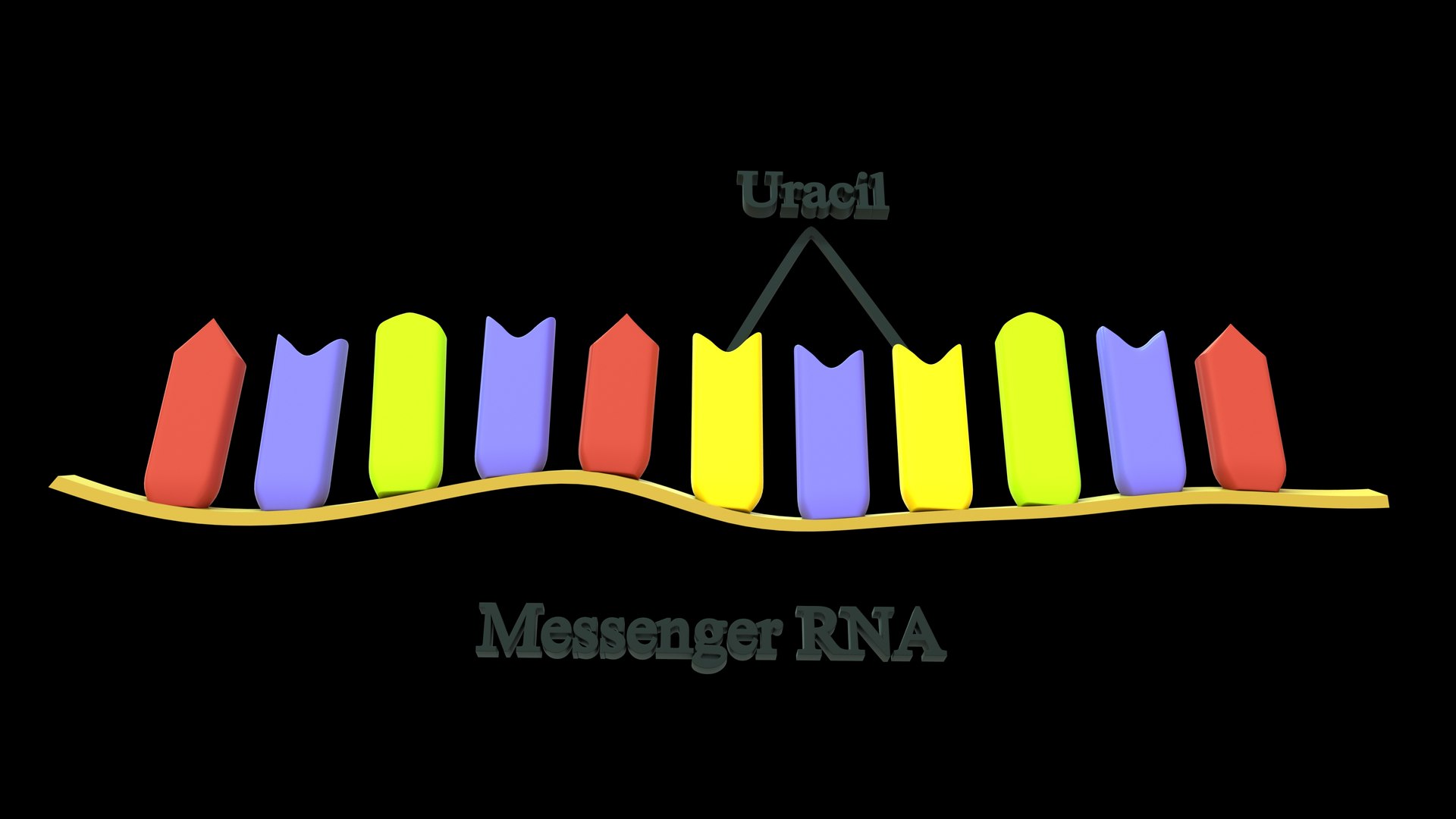 3D Messenger RNA - TurboSquid 2172869