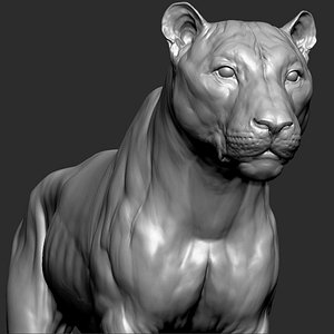 Tiger Vfx Cinematic Realistic Zbrush Sculpt