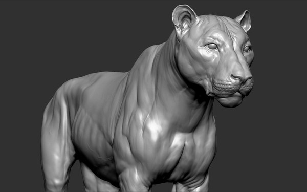 Tiger Vfx Cinematic Realistic Zbrush Sculpt3Dモデル - TurboSquid 1482877