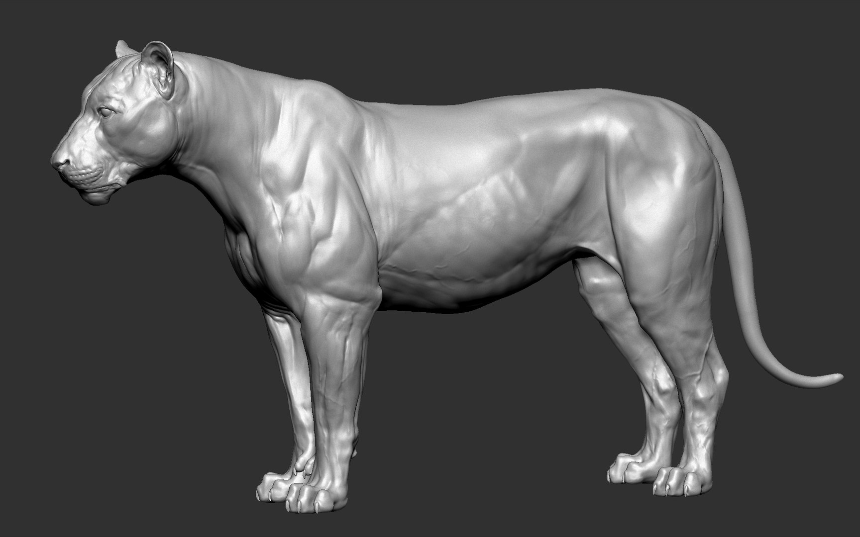 Tiger vfx zbrush sculpt 3D model - TurboSquid 1482877