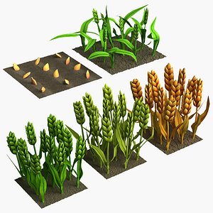 Barley cartoon stages of grow