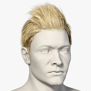 Realistic Blonde Short Hairstyle for Man