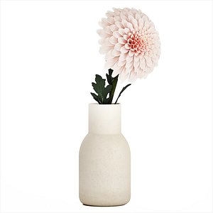 3D White Flower Bouquet Of Chrysanthemum In A Vase 536