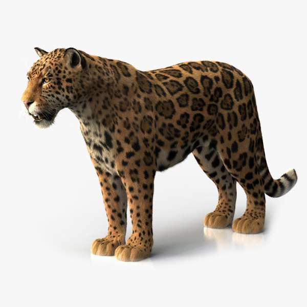 JAGUAR ANIMATED XGEN-CORE 3D