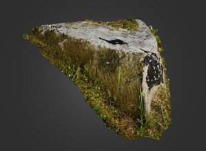 Mountain Rock HD Scan