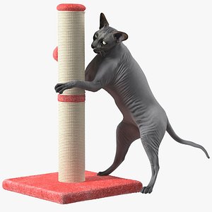 3D Cat Playing With A Red Scratching Post Rigged for Maya