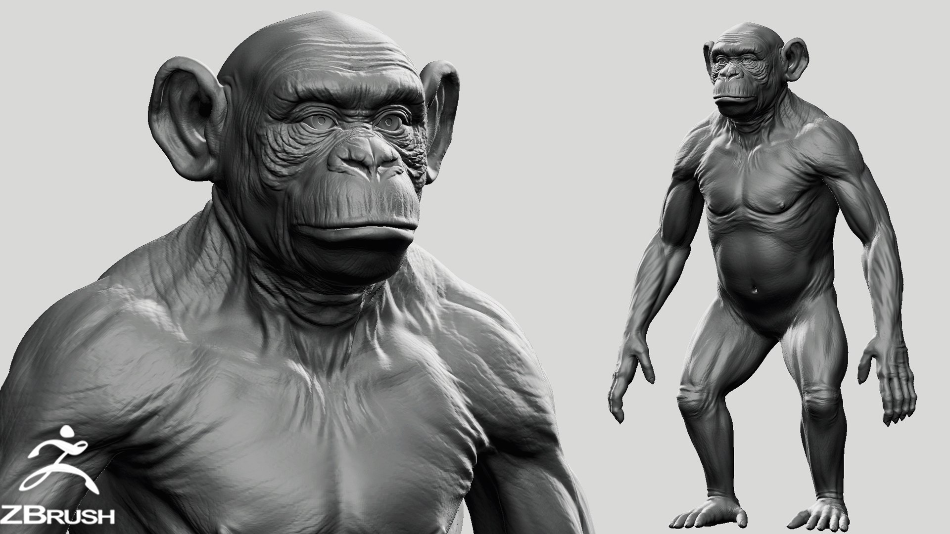 ☆チンパンジー☆デッサン☆ 黒と白のインクで描いたチンパンジーのスケッチ。 | Premium AI