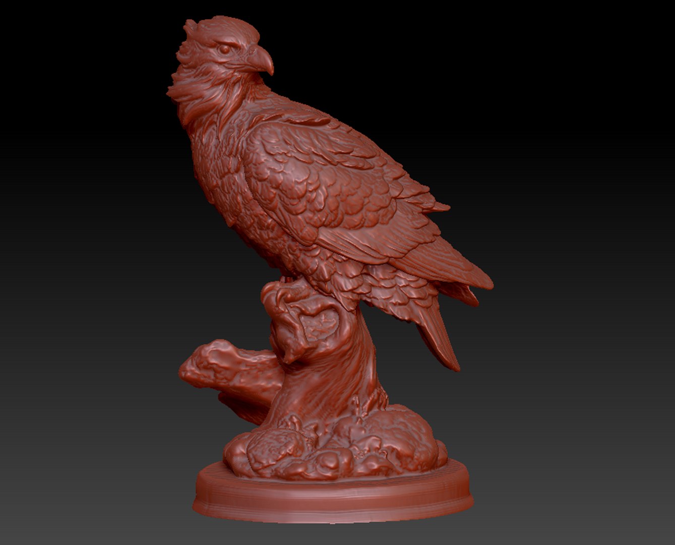 Bird Hawk Model - TurboSquid 2127734