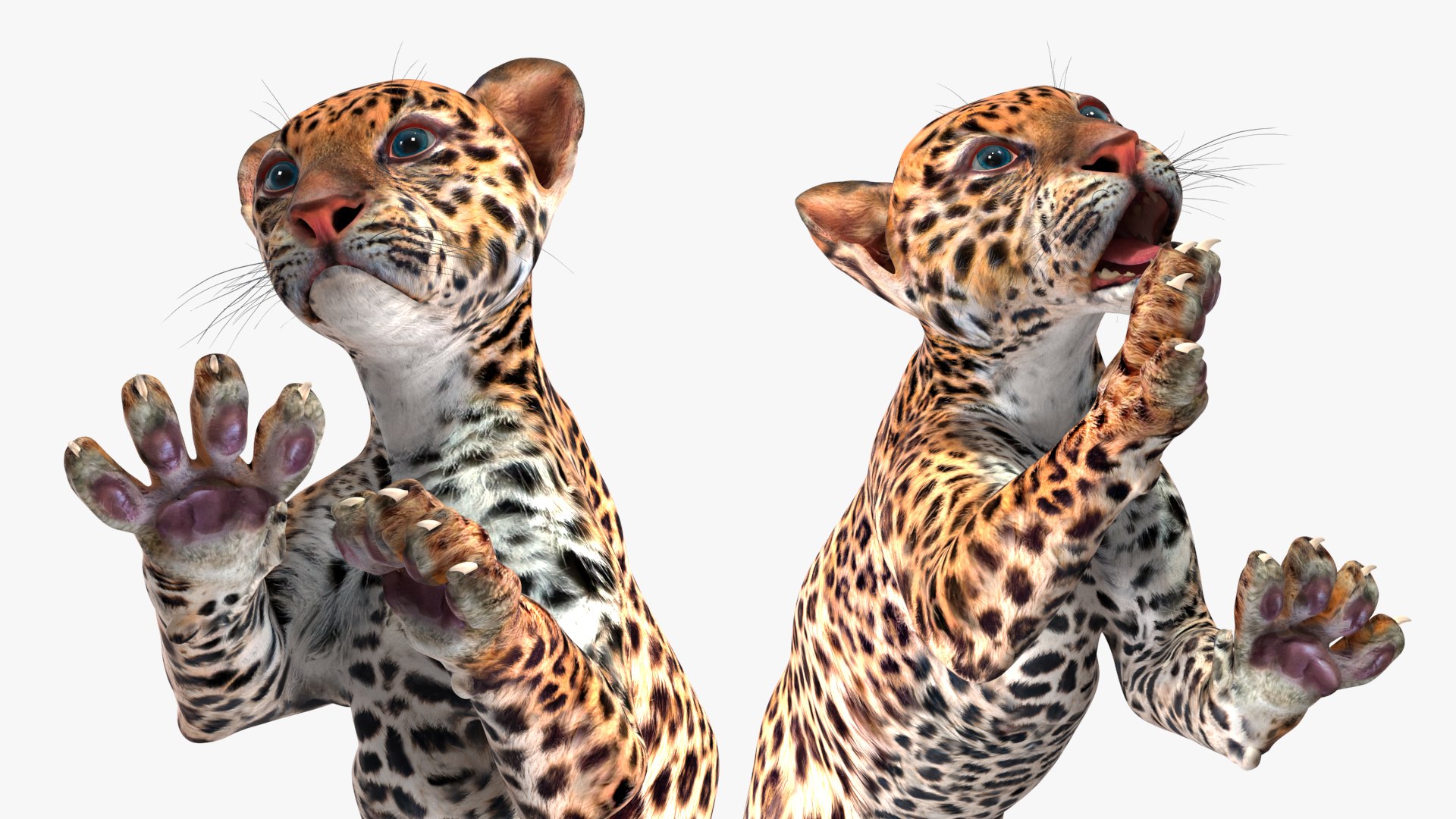 Leopard Cub Clawing Motion Animated Rigged 3D Model - TurboSquid 2406967
