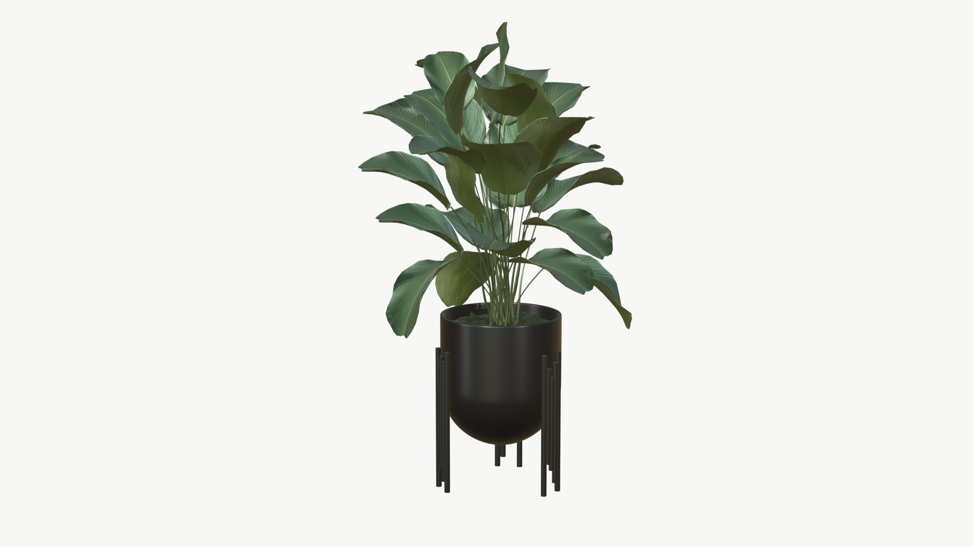 Realistic Plants 3D model https://p.turbosquid.com/ts-thumb/eY/dIyloc/cs/z01/jpg/1704636559/1920x1080/turn_fit_q99/58114585de16762419b43af2d49fa312ccc0abeb/z01-1.jpg