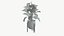 Plantas realistas