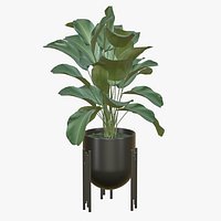 Realistic Plants