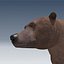 grizzly bear obj