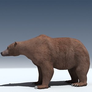 grizzly bear obj