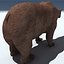 grizzly bear obj