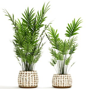 palm 3d fbx