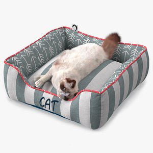Domestic Cat Napping in Soft Cushion Fur for Cinema 4D