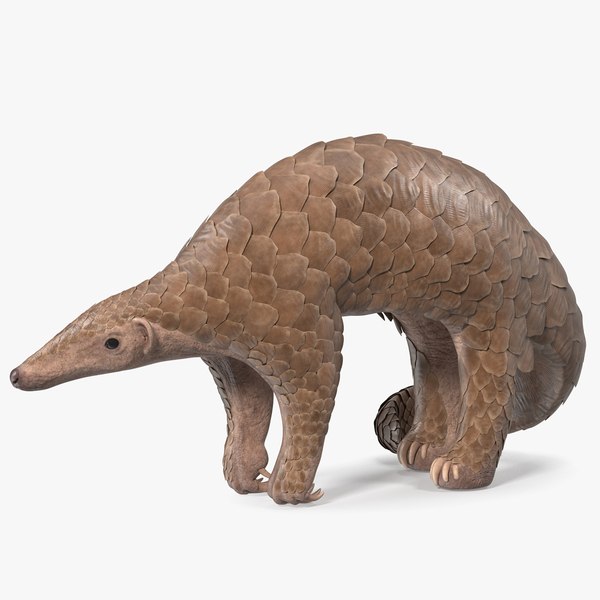 3D Pangolin Rigged