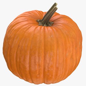jack o lantern pumpkin 3D