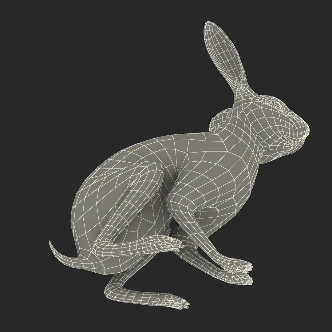 3d rabbit pose 3 model