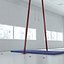 Gymnastic Rings