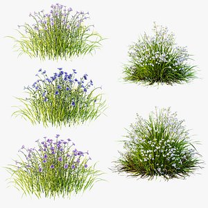 3D AV 10 spring grass sets including 77 different spring grasses