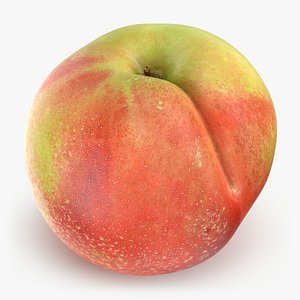 Nectarine 03 - 3D Scanned 3D
