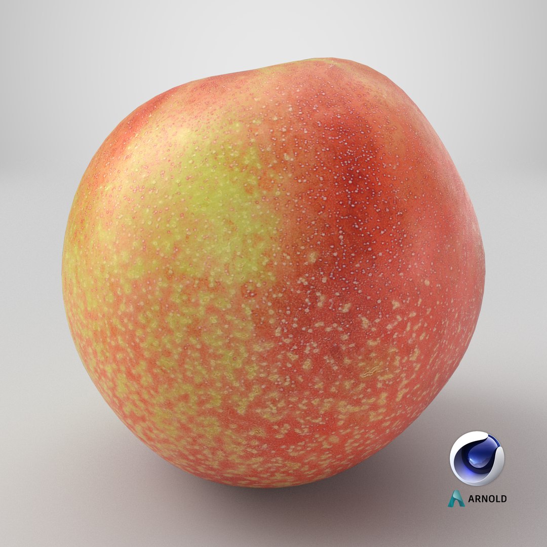 Nectarine 03 - 3D Scanned 3D https://p.turbosquid.com/ts-thumb/eZ/V3bmPg/QJ/stemcell_cinema_4d_arnold_render/png/1792600243/1920x1080/fit_q87/5a850377be60caa0190fdde222a4d680cb2262de/stemcell_cinema_4d_arnold_render.jpg