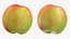 Nectarine 03 - 3D Scanned