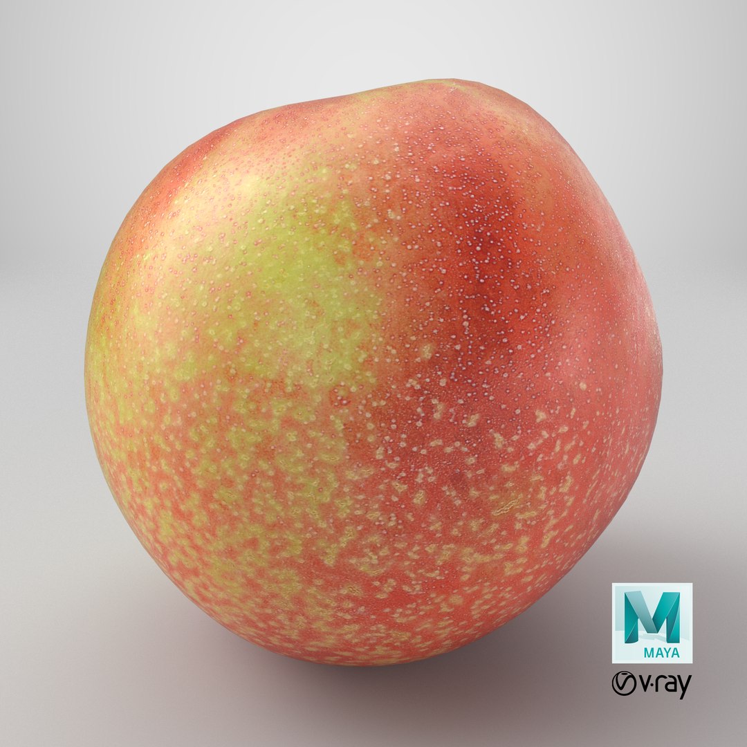 Nectarine 03 - 3D Scanned 3D https://p.turbosquid.com/ts-thumb/eZ/V3bmPg/vg/stemcell_maya_vray_render/png/1792600241/1920x1080/fit_q87/5d22b2a16383adf34a92303db735ec182c3787b7/stemcell_maya_vray_render.jpg