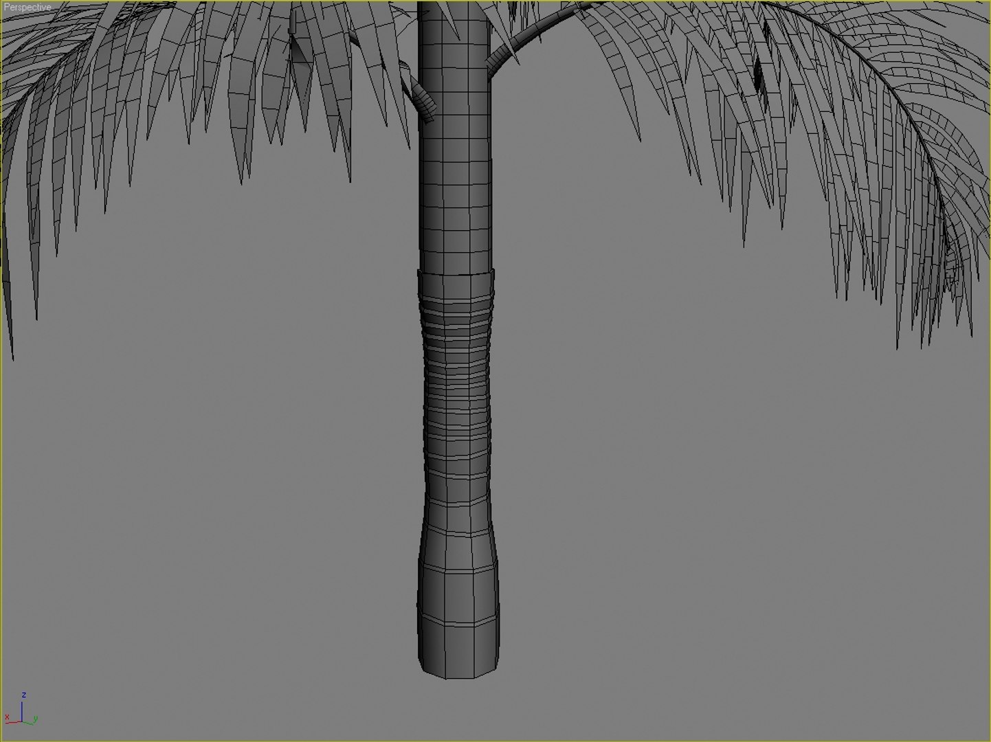 Palm Tree Max
