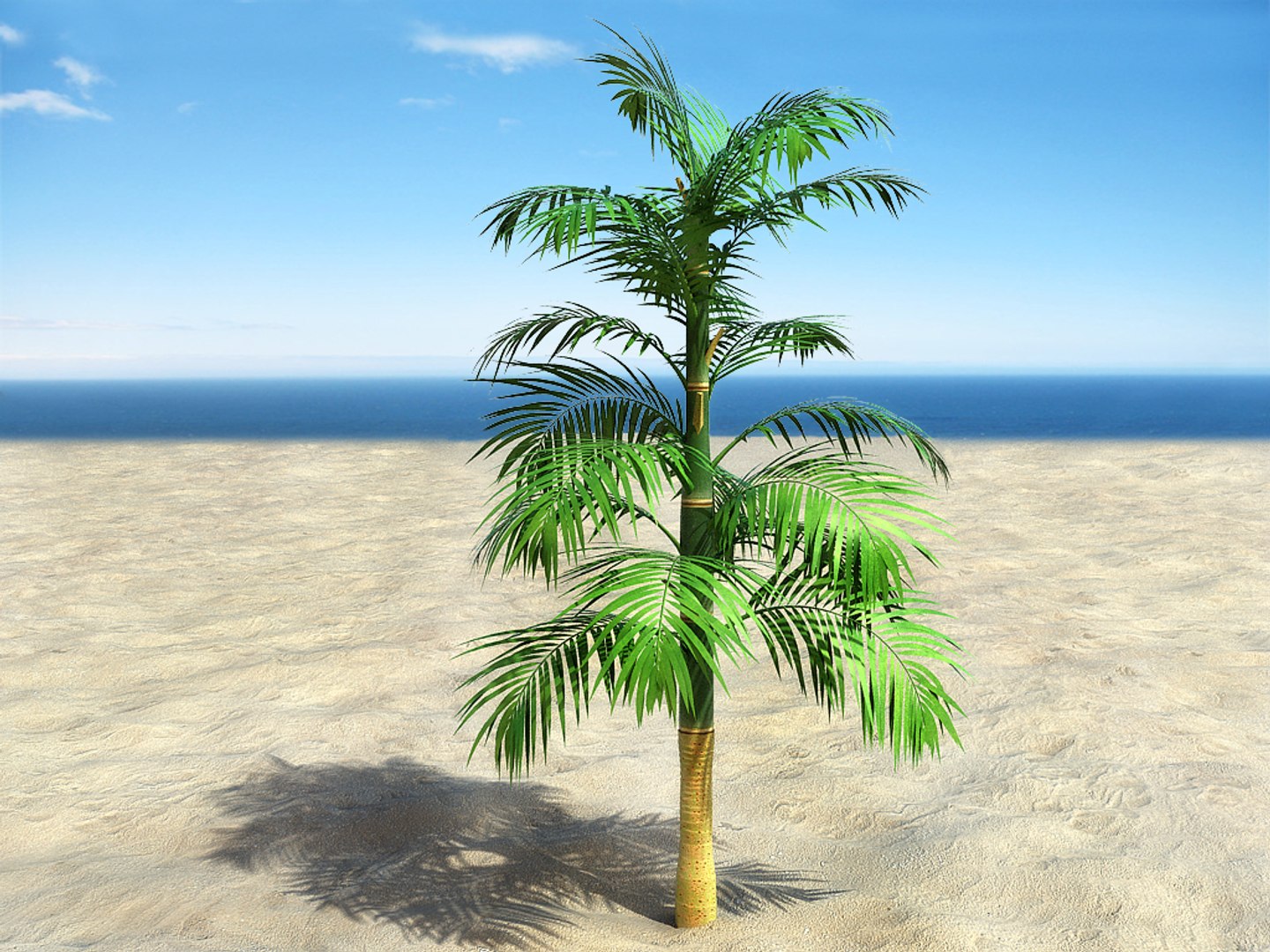 Palm Tree Max