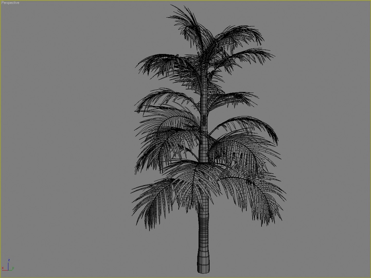Palm Tree Max