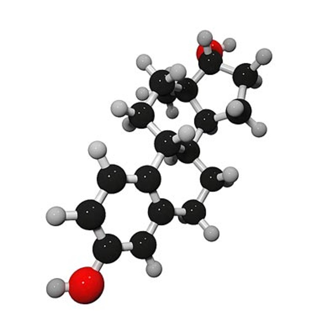 3ds max estradiol molecule structure https://p.turbosquid.com/ts-thumb/eZ/nRmxiw/MYe10NSK/estradiolc01/jpg/1271334679/1920x1080/fit_q87/a3c0efd899453ff586fc42755a0d77d1e03b3f5c/estradiolc01.jpg