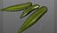 Lady Finger Okra