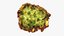 Falafel Half