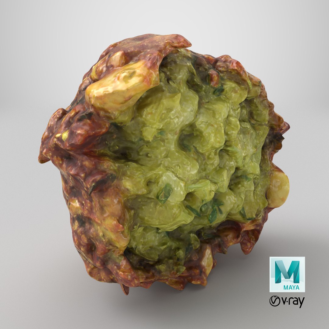 3D Falafel Half https://p.turbosquid.com/ts-thumb/eZ/uNo3Yd/7x/stemcell_maya_vray_render/png/1750437722/1920x1080/fit_q87/0a1482d5acafdc1ab5efd7a8950730b8f8e619fa/stemcell_maya_vray_render.jpg