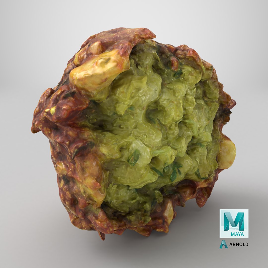 3D Falafel Half https://p.turbosquid.com/ts-thumb/eZ/uNo3Yd/DB/stemcell_maya_arnold_render/png/1750437720/1920x1080/fit_q87/0eb47a10abdbd0ebd55ef0d2b86968ffe88e42b4/stemcell_maya_arnold_render.jpg