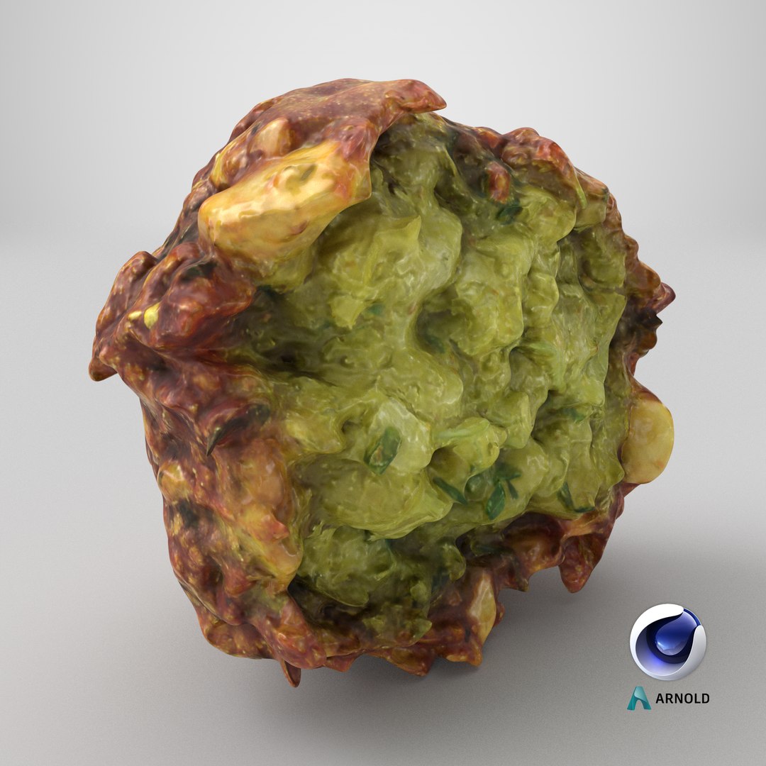 3D Falafel Half https://p.turbosquid.com/ts-thumb/eZ/uNo3Yd/pv/stemcell_cinema_4d_arnold_render/png/1750437724/1920x1080/fit_q87/e8fffdef4e4ec76301426519a18708051e2079bb/stemcell_cinema_4d_arnold_render.jpg