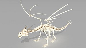 Dragon skelet