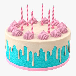 Birthday Cake 3D model