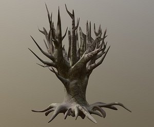 SCARY OLD TREE