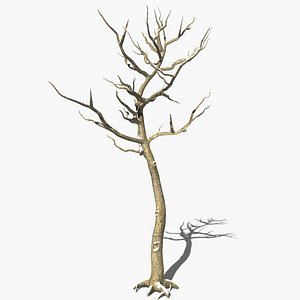 Winter Tree with Snow (4)