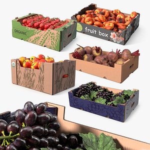 Harvest in Storage Boxes Collection 3